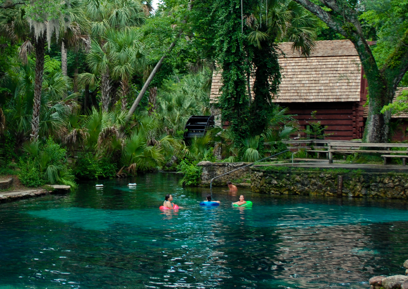 Ocala National Forest Springs