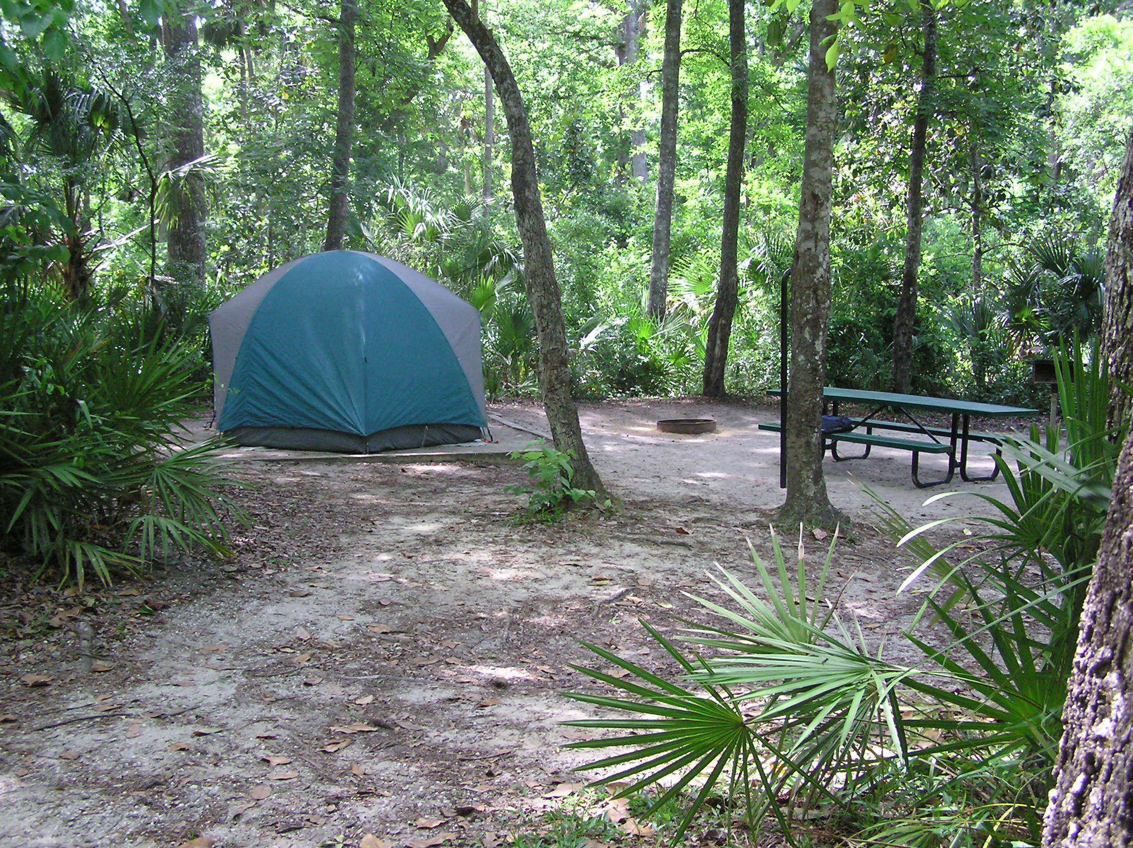Ocala National Forest Campgrounds